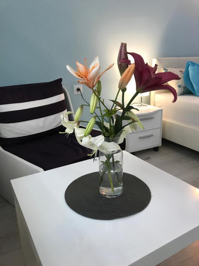 White Rose Guest Rooms Burgas Bagian luar foto