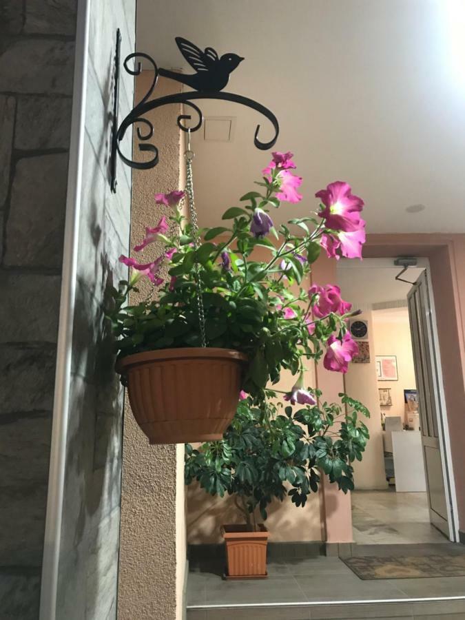 White Rose Guest Rooms Burgas Bagian luar foto
